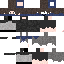 Texture for moiskin