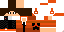 Texture for LinkStart