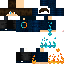 Texture for leopard