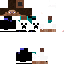 Texture for sebastian