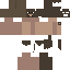 Texture for bison