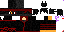 Texture for ds