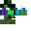 Texture for spider