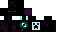 Texture for Evil Enderman