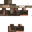 Texture for Radagast for hat