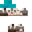 Texture for shupknighttest