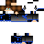 Texture for Steve