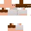 Texture for Paper_Packet