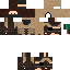 Texture for Desert version