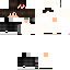 Texture for Nolan3