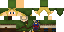 Texture for Link