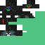Texture for winter wither