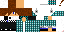Texture for solidwolf01