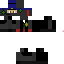 Texture for rendőrninja