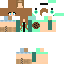 Texture for coco12