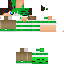 Texture for FelisPlays