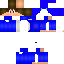 Texture for gui risso