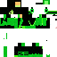 Texture for Shego