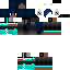 Texture for ms_rs