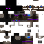 Texture for Puple Knight
