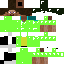 Texture for gsteve