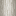 Texture for Poplar tree