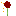 Texture for Red flower