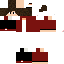 Texture for Rafael