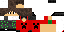 Texture for dd