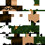 Texture for hh
