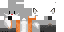 Texture for Fox v2