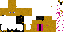 Texture for particle traveller