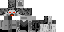 Texture for King