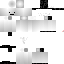 Texture for blanquito