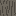 Texture for acacia log simple