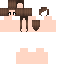 Texture for shellonica