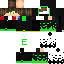 Texture for steve