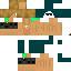 Texture for SURFER