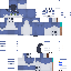 Texture for nqwpskin