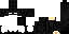 Texture for enderbut