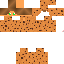 Texture for TectonicFlash