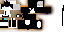 Texture for Apollo