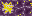 Texture for ChorsusFlower