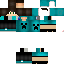 Texture for dhysrt