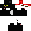 Texture for blackcat_noel