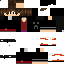Texture for Sonic