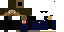 Texture for Fernando