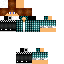 Texture for felix 14