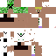 Texture for Peter 1