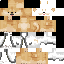 Texture for Shibe in lab coat